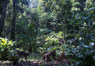 Biodiversity Conservation