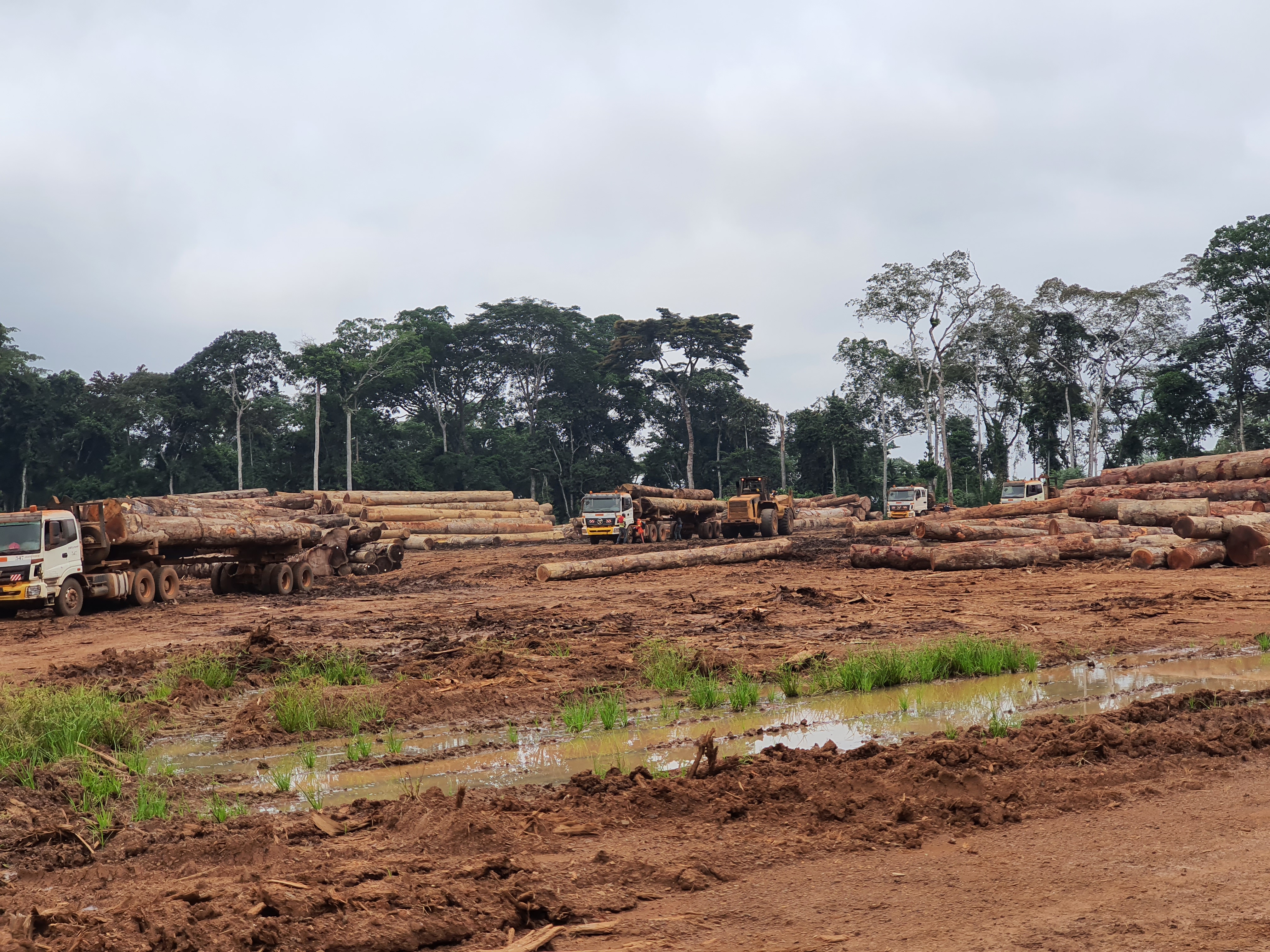 Deforestation in Africa